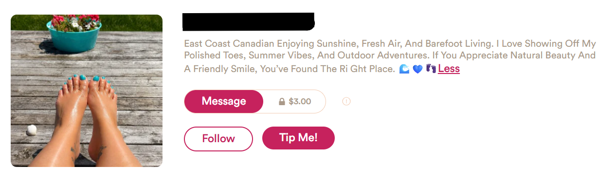 Example seller profile with a descriptive bio