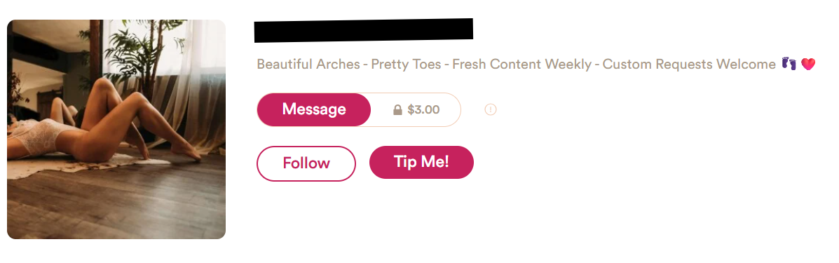 Seller profile with a clear bio and message, follow and tip options